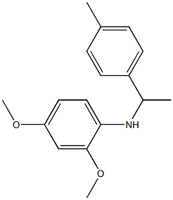 2,4-dimethoxy-N-[1-(4-methylphenyl)ethyl]aniline,,结构式