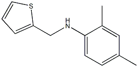 2,4-dimethyl-N-(thiophen-2-ylmethyl)aniline,,结构式