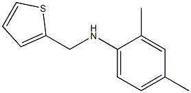  2,4-dimethyl-N-(thiophen-2-ylmethyl)aniline