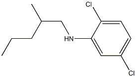 2,5-dichloro-N-(2-methylpentyl)aniline Struktur