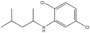 2,5-dichloro-N-(4-methylpentan-2-yl)aniline Structure