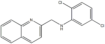 2,5-dichloro-N-(quinolin-2-ylmethyl)aniline 化学構造式