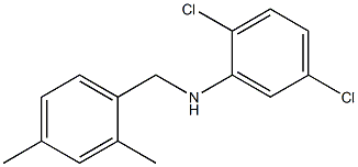 2,5-dichloro-N-[(2,4-dimethylphenyl)methyl]aniline Structure