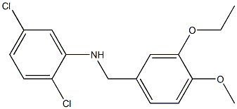 2,5-dichloro-N-[(3-ethoxy-4-methoxyphenyl)methyl]aniline Structure
