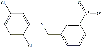 2,5-dichloro-N-[(3-nitrophenyl)methyl]aniline