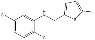 2,5-dichloro-N-[(5-methylthiophen-2-yl)methyl]aniline 化学構造式