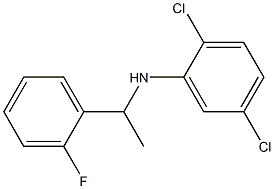 2,5-dichloro-N-[1-(2-fluorophenyl)ethyl]aniline 化学構造式