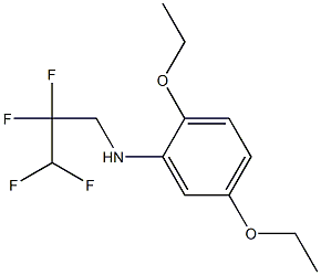2,5-diethoxy-N-(2,2,3,3-tetrafluoropropyl)aniline
