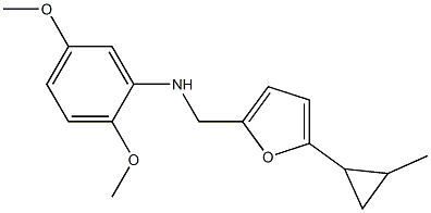 2,5-dimethoxy-N-{[5-(2-methylcyclopropyl)furan-2-yl]methyl}aniline Structure