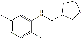 2,5-dimethyl-N-(oxolan-3-ylmethyl)aniline 化学構造式