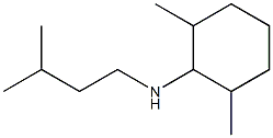 2,6-dimethyl-N-(3-methylbutyl)cyclohexan-1-amine|