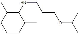 2,6-dimethyl-N-[3-(propan-2-yloxy)propyl]cyclohexan-1-amine