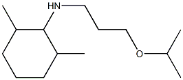 2,6-dimethyl-N-[3-(propan-2-yloxy)propyl]cyclohexan-1-amine|