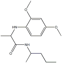 2-[(2,4-dimethoxyphenyl)amino]-N-(pentan-2-yl)propanamide