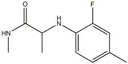 2-[(2-fluoro-4-methylphenyl)amino]-N-methylpropanamide