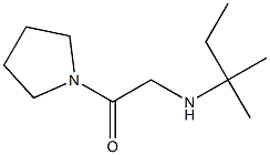 2-[(2-methylbutan-2-yl)amino]-1-(pyrrolidin-1-yl)ethan-1-one,,结构式