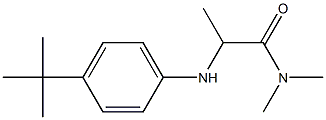 2-[(4-tert-butylphenyl)amino]-N,N-dimethylpropanamide Structure