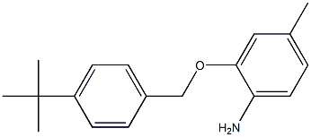 2-[(4-tert-butylphenyl)methoxy]-4-methylaniline Struktur