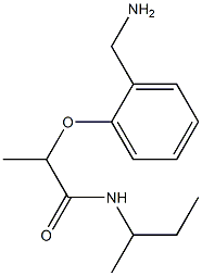  2-[2-(aminomethyl)phenoxy]-N-(butan-2-yl)propanamide