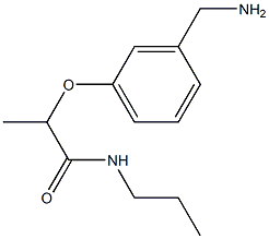 2-[3-(aminomethyl)phenoxy]-N-propylpropanamide|