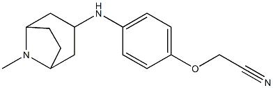 2-[4-({8-methyl-8-azabicyclo[3.2.1]octan-3-yl}amino)phenoxy]acetonitrile 化学構造式