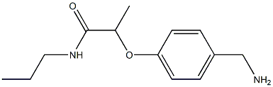 2-[4-(aminomethyl)phenoxy]-N-propylpropanamide Structure