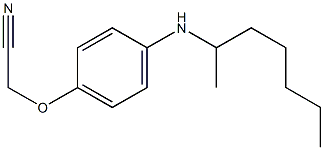 2-[4-(heptan-2-ylamino)phenoxy]acetonitrile Structure