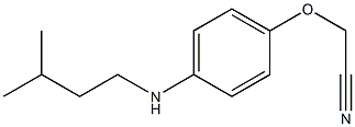 2-{4-[(3-methylbutyl)amino]phenoxy}acetonitrile