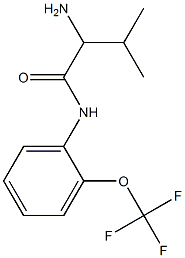 2-amino-3-methyl-N-[2-(trifluoromethoxy)phenyl]butanamide Structure