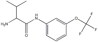 2-amino-3-methyl-N-[3-(trifluoromethoxy)phenyl]butanamide 结构式
