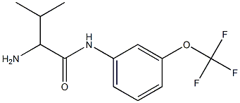 2-amino-3-methyl-N-[3-(trifluoromethoxy)phenyl]butanamide,,结构式