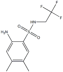 2-amino-4,5-dimethyl-N-(2,2,2-trifluoroethyl)benzene-1-sulfonamide