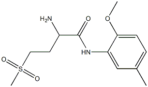 2-amino-4-methanesulfonyl-N-(2-methoxy-5-methylphenyl)butanamide