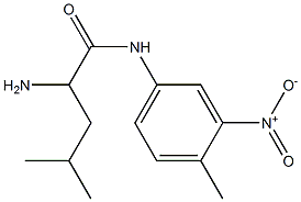 2-amino-4-methyl-N-(4-methyl-3-nitrophenyl)pentanamide Struktur