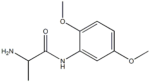 2-amino-N-(2,5-dimethoxyphenyl)propanamide