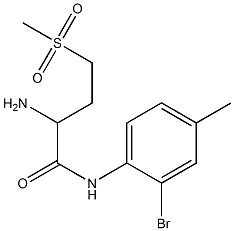 2-amino-N-(2-bromo-4-methylphenyl)-4-(methylsulfonyl)butanamide Struktur