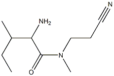 2-amino-N-(2-cyanoethyl)-N,3-dimethylpentanamide