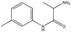 2-amino-N-(3-methylphenyl)propanamide Structure