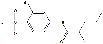 2-bromo-4-(2-methylpentanamido)benzene-1-sulfonyl chloride Struktur