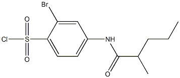 2-bromo-4-(2-methylpentanamido)benzene-1-sulfonyl chloride Structure