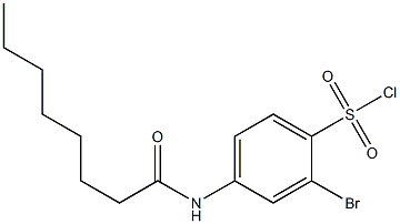 2-bromo-4-octanamidobenzene-1-sulfonyl chloride