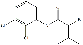2-bromo-N-(2,3-dichlorophenyl)-3-methylbutanamide Struktur