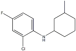 2-chloro-4-fluoro-N-(3-methylcyclohexyl)aniline Structure
