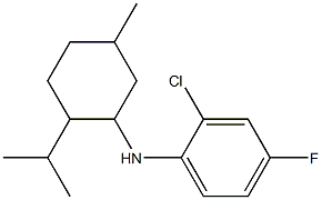 2-chloro-4-fluoro-N-[5-methyl-2-(propan-2-yl)cyclohexyl]aniline