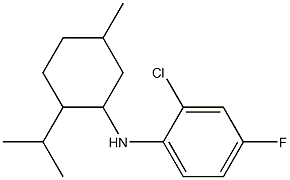 2-chloro-4-fluoro-N-[5-methyl-2-(propan-2-yl)cyclohexyl]aniline,,结构式