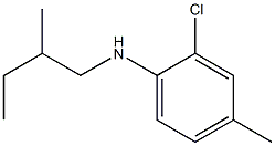 2-chloro-4-methyl-N-(2-methylbutyl)aniline