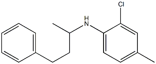 2-chloro-4-methyl-N-(4-phenylbutan-2-yl)aniline 化学構造式