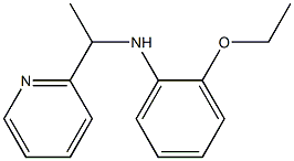 2-ethoxy-N-[1-(pyridin-2-yl)ethyl]aniline 化学構造式