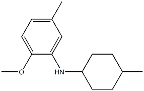 2-methoxy-5-methyl-N-(4-methylcyclohexyl)aniline 结构式