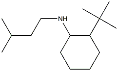 2-tert-butyl-N-(3-methylbutyl)cyclohexan-1-amine Structure
